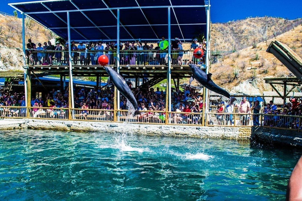 PLAYA BLANCA-ALMUEREZO Y ACUARIO (9:00 am-4:00 pm)