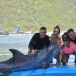 IMG_20220503_104939_124_Original